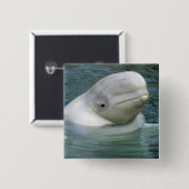 Beluga Whale, Delphinapterus leucas) Button (Vorne & Hinten)