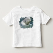 Beluga Whale, Delphinapterus leucas) Kleinkind T-shirt (Vorderseite)