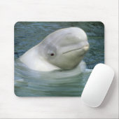 Beluga Whale, Delphinapterus leucas) Mousepad (Mit Mouse)