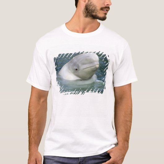 Beluga Whale, Delphinapterus leucas) T-Shirt (Vorderseite)