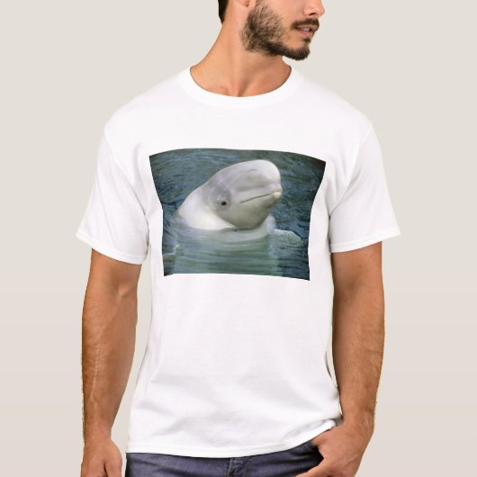 Beluga Whale, Delphinapterus leucas) T-Shirt (Vorderseite)