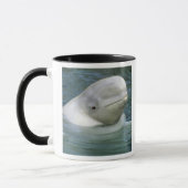 Beluga Whale, Delphinapterus leucas) Tasse (Links)