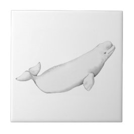 Beluga Whale Illustration Whale Lover Geschenk Whi Fliese