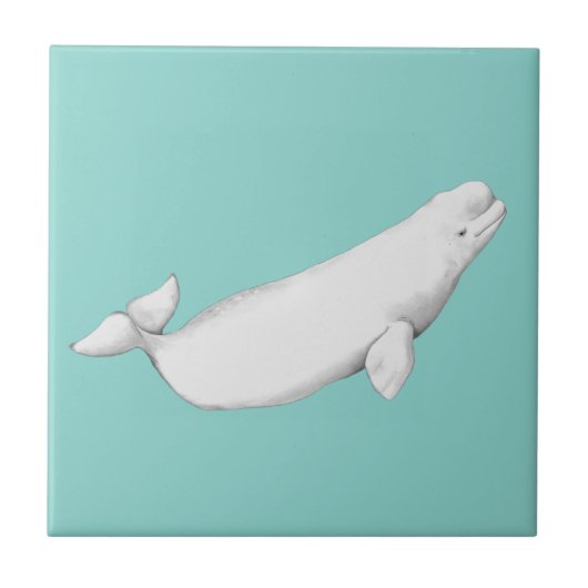Beluga Whale Illustration Whale Lover Gift Blue Fliese (Vorderseite)