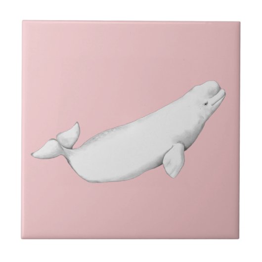 Beluga Whale Illustration Whale Lover Gift Pink Fliese (Vorderseite)