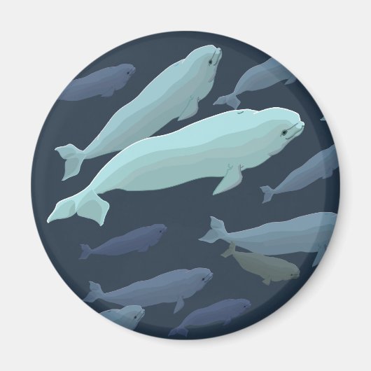 Beluga Whale Kühlschrankmagnet Whale Kunstgewerbe (Vorne)
