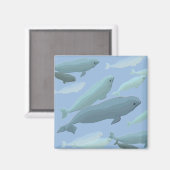 Beluga Whale Kühlschrankmagnet Whale Kunstgewerbe (Vorderseite/Rückseite)