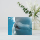 Beluga Whale Postcard Postkarte (Stehend Vorderseite)