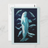 Beluga Whale Postkarten Beluga Whale Art Cards (Vorne/Hinten)