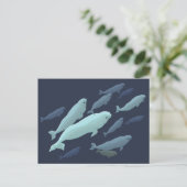 Beluga Whale Postkarten Beluga Whale Card Anpassen (Stehend Vorderseite)