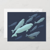 Beluga Whale Postkarten Beluga Whale Card Anpassen (Vorne/Hinten)