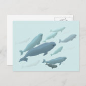 Beluga Whale Postkarten Kanadische Beluga Whale Ca (Vorne/Hinten)