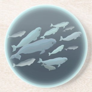 Beluga Whale Untersetzer Whale Art Drink Untersetz