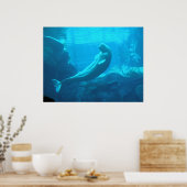 Beluga Whales II Poster (Küche)