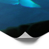 Beluga Whales II Poster (Ecke)
