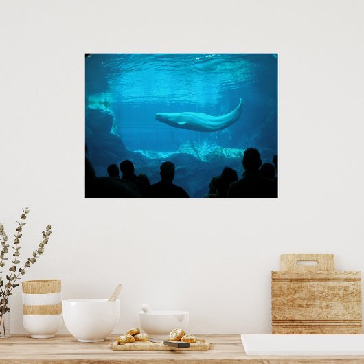 Beluga Whales III Poster (Küche)
