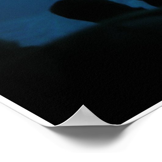 Beluga Whales III Poster (Ecke)