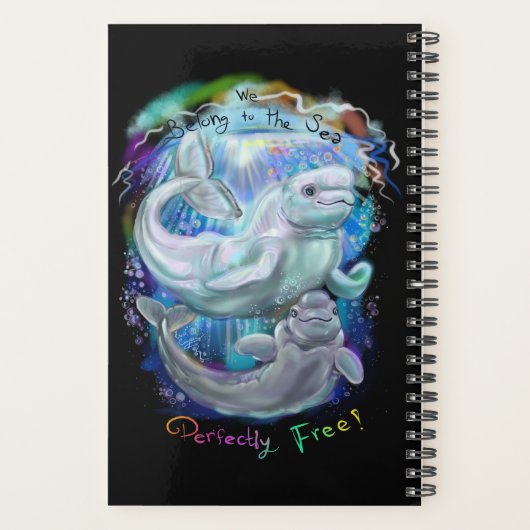 Beluga Whales Planer (Rückseite)