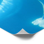 Beluga Whales Poster (Ecke)