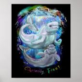 Beluga Whales Poster (Vorne)