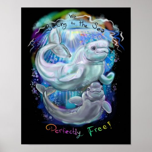 Beluga Whales Poster (Vorne)