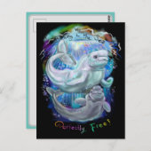 Beluga Whales Postkarte (Vorne/Hinten)