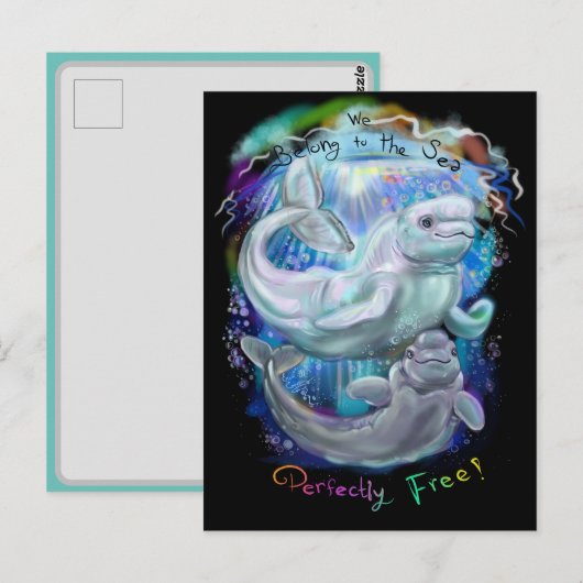 Beluga Whales Postkarte (Vorne/Hinten)