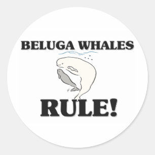BELUGA WHALES Regel! Runder Aufkleber
