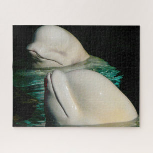 Belugawale Puzzle