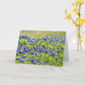 bemalt Bluebonnets 1 Scripture Card Isaiah 61:11 Karte (Gelbe Blume)