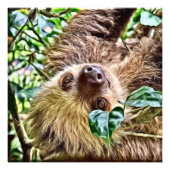 bemalt Sloth Fotodruck (Vorne)