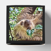 bemalt Sloth Geschenkschachtel (Oben)
