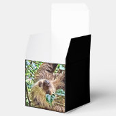 bemalt Sloth Geschenkschachtel (Geöffnet)