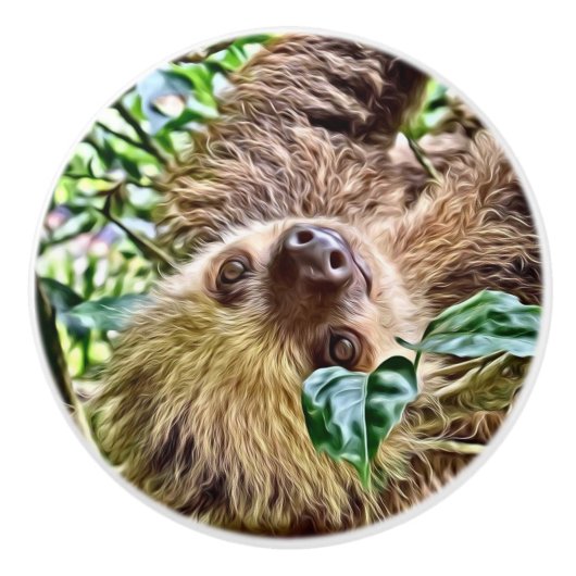 bemalt Sloth Keramikknauf (Vorderseite)