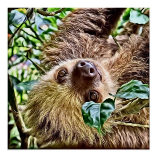 bemalt Sloth Poster (Vorderseite)