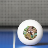 bemalt Sloth Tischtennisball (Netto)