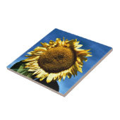 bemalte große gelbe Sonnenblume gegen einen blauen Fliese (Seite)