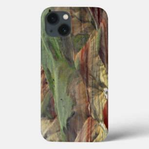 Bemalte Hügel, John Day Fossil Beds, Mitchell Case-Mate iPhone Hülle