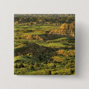 Bemalter Canyon nach dem Sturm in Theodore Rooseve Button