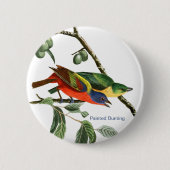 Bemaltes Bejagen, Audubon, Birdwatcher Finch Bird, Button (Vorderseite)
