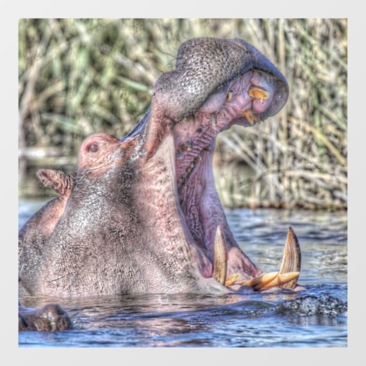 bemaltes Hippo Fensteraufkleber (Blatt)