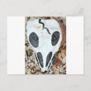 bemalteter Schädel Postkarte