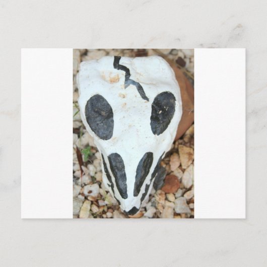 bemalteter Schädel Postkarte (Vorderseite)