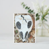 bemalteter Schädel Postkarte (Stehend Vorderseite)