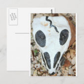 bemalteter Schädel Postkarte (Vorne/Hinten)
