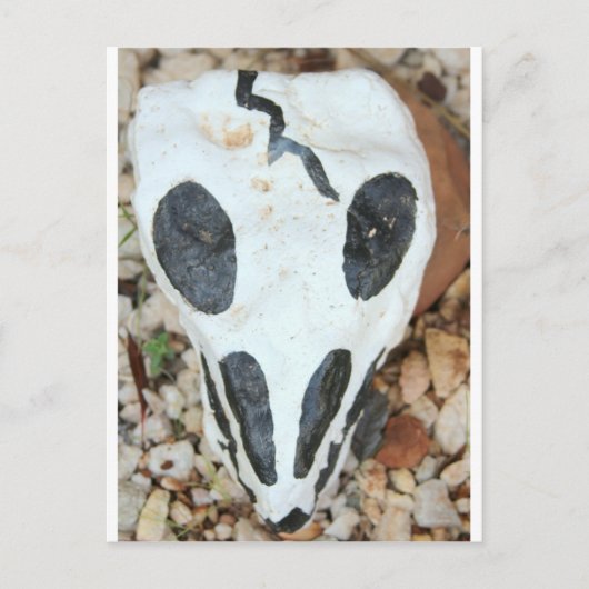 bemalteter Schädel Postkarte (Vorderseite)