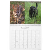 Bemannt besten Freund Kalender (Jan 2027)