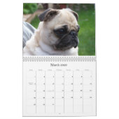 Bemannt besten Freund Kalender (Mär 2026)