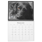 Bemannt besten Freund Kalender (Feb 2026)