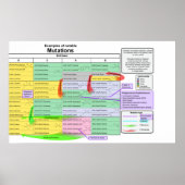 Bemerkenswerte Mutationen nach dem genetischen Cod Poster (Vorne)